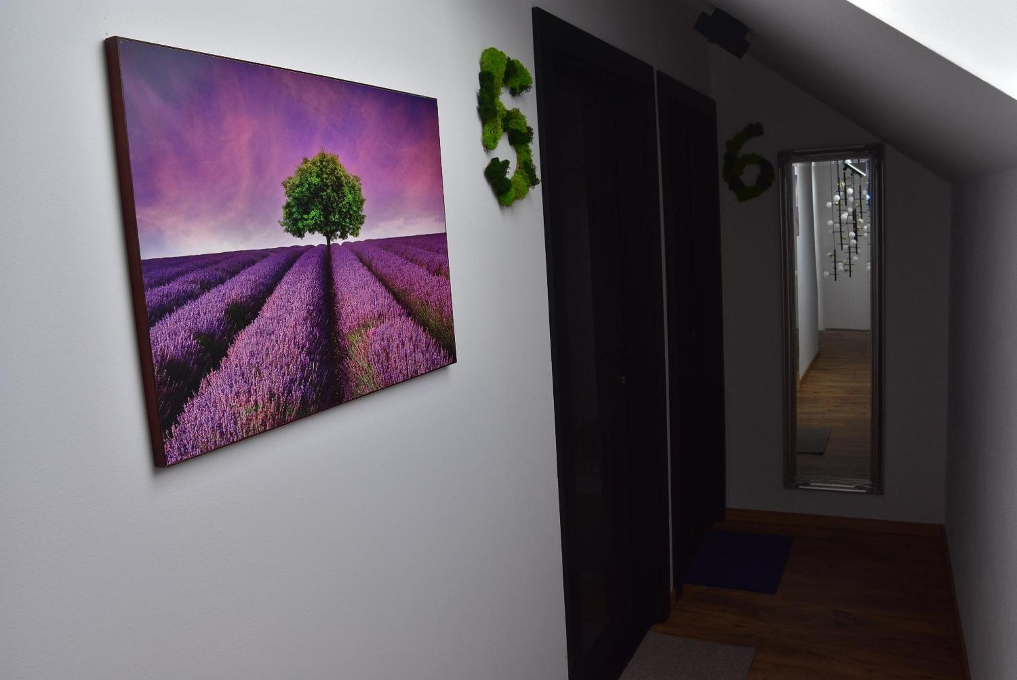 Apartmany Zakovce & Spa Veľka Lomnica Bagian luar foto